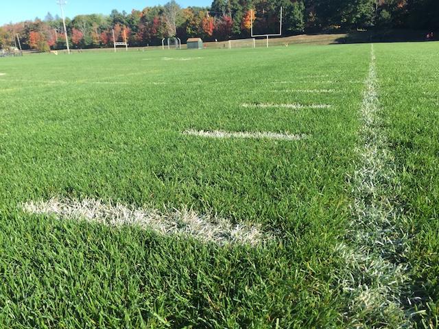 Key Players In The Sports Turf Industry, Graff Turf Farms