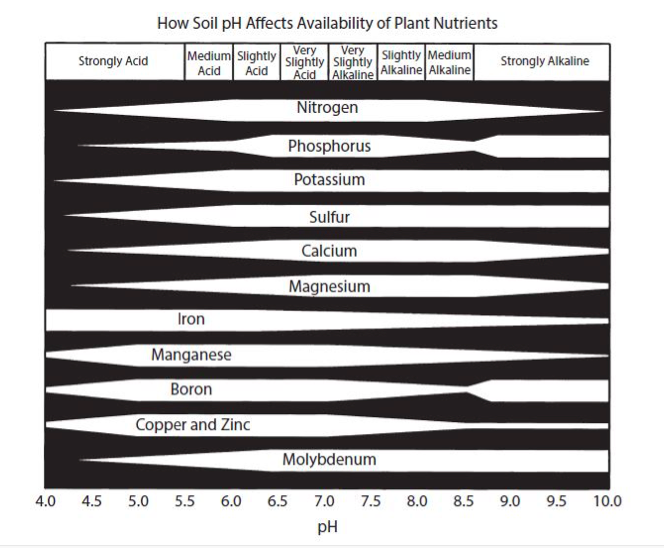 So, What’s the Deal with Calcium? | SportsField Management