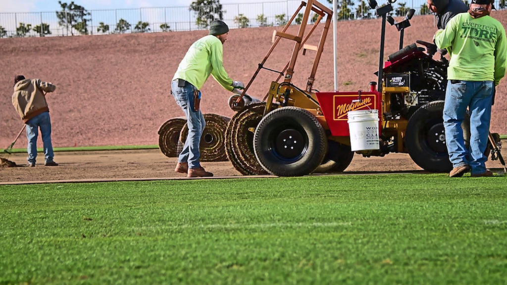 installing thick-cut sod