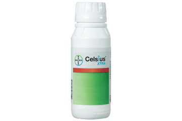 Bayer Celsius XTRA