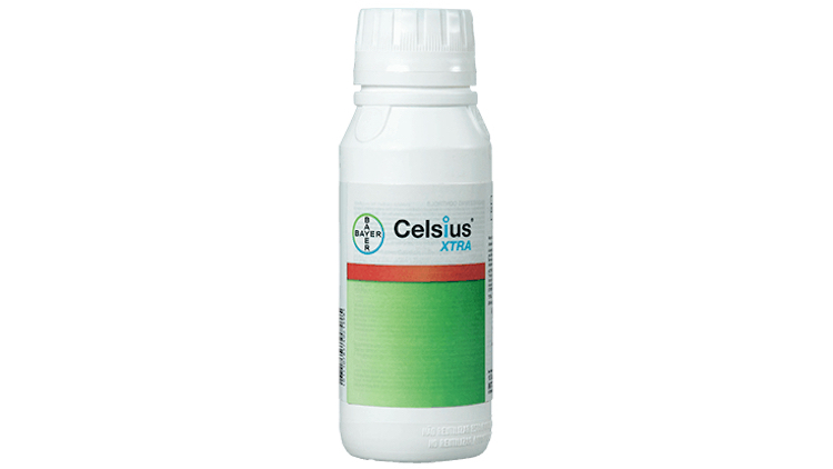 Bayer Celsius XTRA