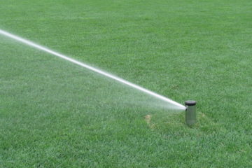 Irrigation system audits