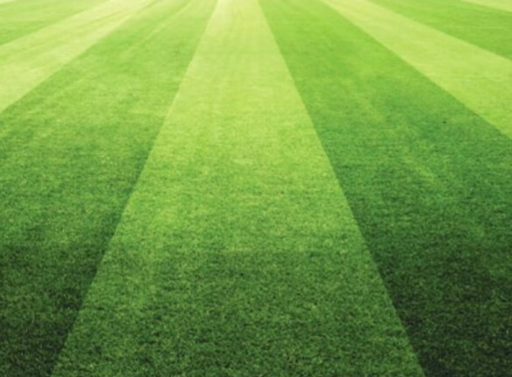 Sports Field Management Trends Part 1, Turf And Landscape Management Salary