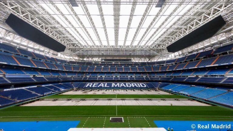Real Madrid Pitch