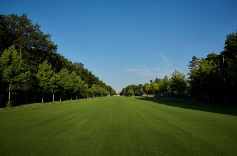 SYNLawn Green Fan Mile