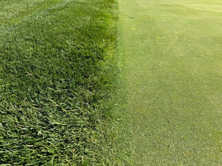 Ecological principles turfgrass