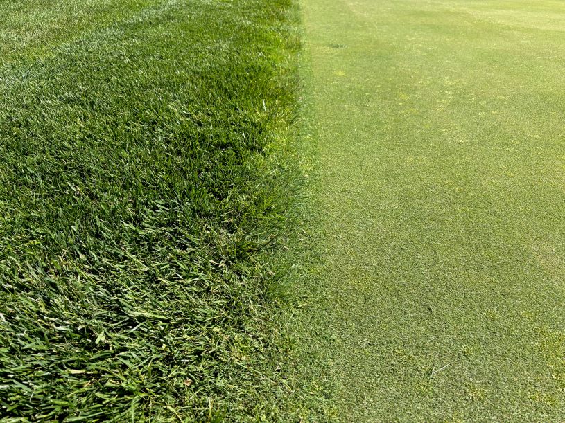 Ecological Principles for Your Field