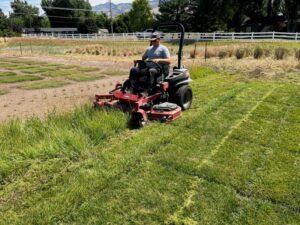 Ecological Principles turfgrass