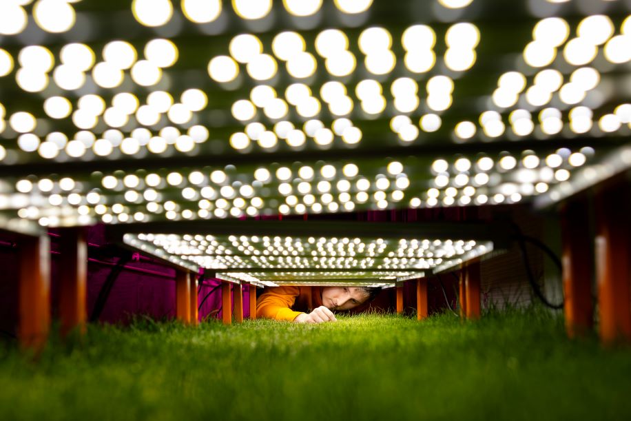 FIFA World Cup turfgrass research