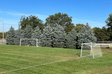 Turf and ornamentals