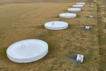 Winterkill turfgrass research