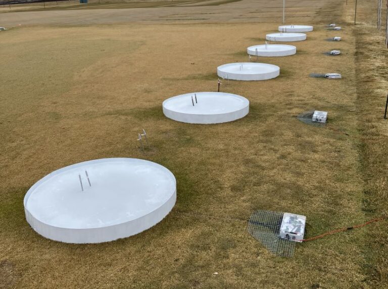 Winterkill turfgrass research