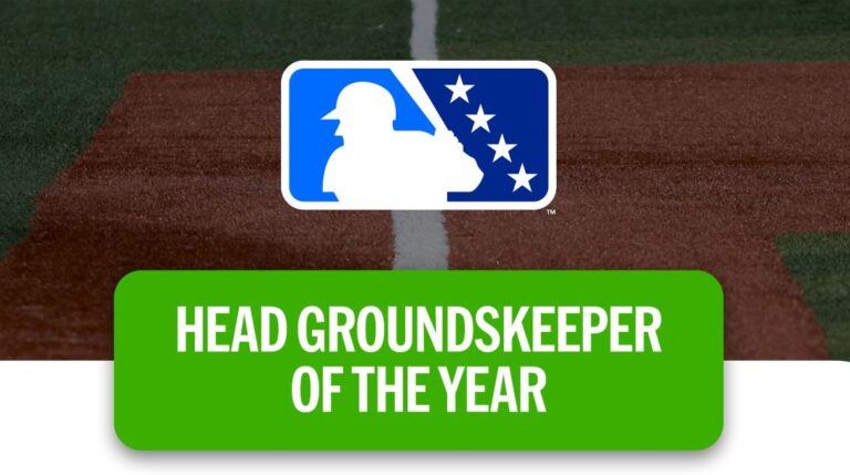 Minor League Baseball MiLB