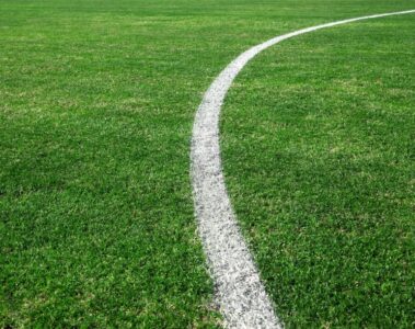 SFMA Field Painting Resource Center