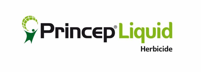 Syngenta Princep