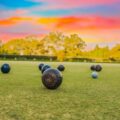 Lawn bowls
