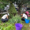 Project Evergreen