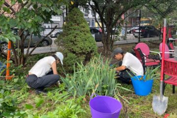 Project Evergreen