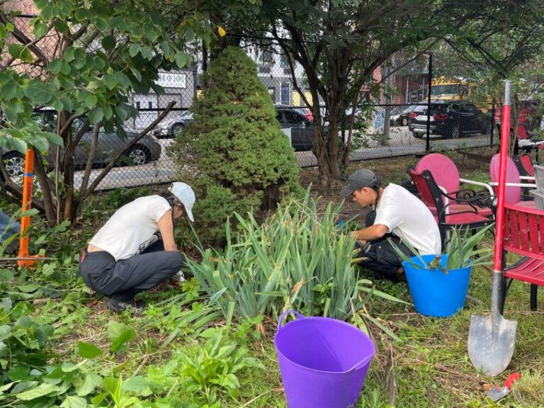 Project Evergreen